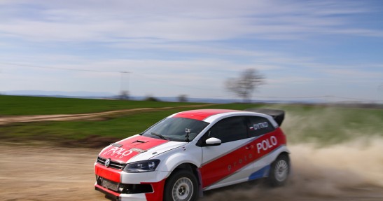 Testy Polo Proto